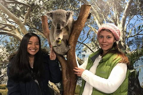 The Ultimate Sydney Attractions Pass - Sunshine Coast Tourism 1