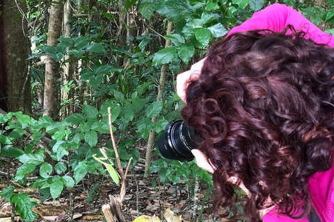 Let's Go Buggin & Let's Go Shroomin - Photography & Nature Walking Tours - Sunshine Coast Tourism 1