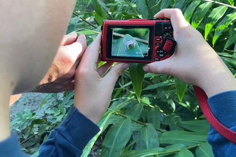 Let's Go Buggin & Let's Go Shroomin - Photography & Nature Walking Tours - Sunshine Coast Tourism 2