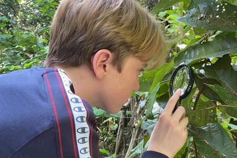 Let's Go Buggin & Let's Go Shroomin - Photography & Nature Walking Tours - Sunshine Coast Tourism 3