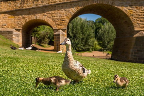 Richmond Historic Afternoon Tour From Hobart - Holiday Sunshine Coast 1