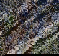 Leven Canyon Day Trip Including Wings Wildlife Park or Gunns Plains Caves - Sunshine Coast Tourism