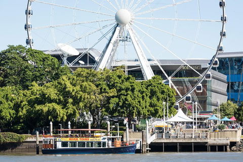 90min Brisbane River Cruise/Tour - Sunshine Coast Tourism 2