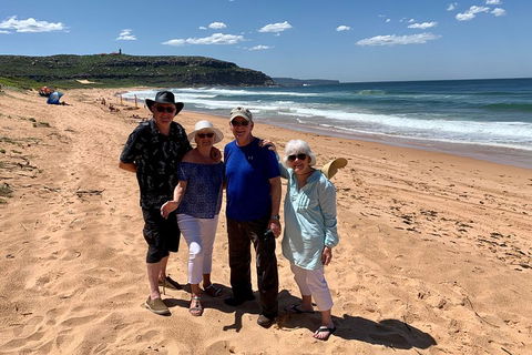 Shore Excursion: Sydney's Northern Beaches & Ku-ring-gai National Park Bus Tour - Sunshine Coast Tourism 3