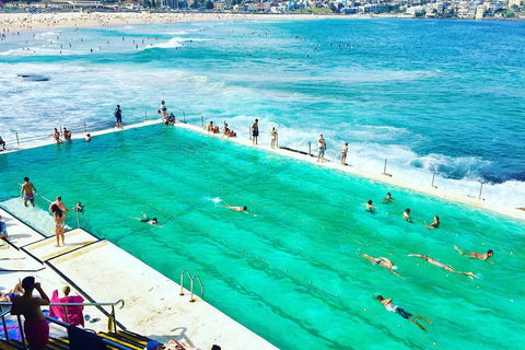 Sydney City, Harbour & Bondi Private Tour, With Airport Pick Up Or Drop Off - Sunshine Coast Tourism 0