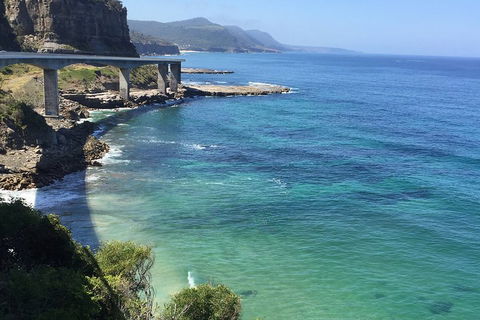 Southern Highlands & South Coast Private Tour From Sydney - Sunshine Coast Tourism 4