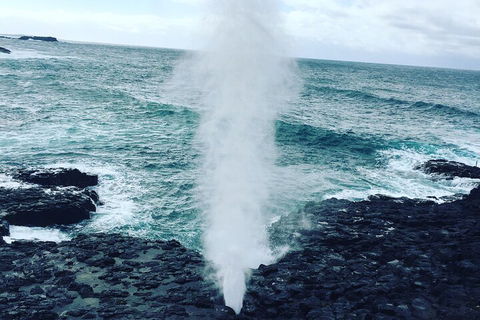 Southern Highlands & South Coast Private Tour From Sydney - Sunshine Coast Tourism 5