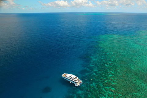 Great Barrier Reef Snorkeling And Diving Cruise From Cairns - Sunshine Coast Tourism 4