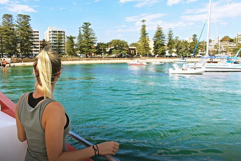 Sydney Harbour Hop-on Hop-off Cruise - Sunshine Coast Tourism 5