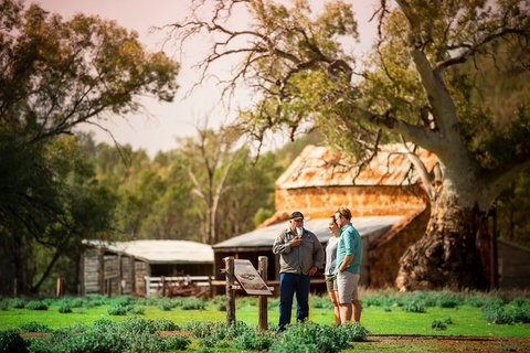 Yura Udnyu - Our Culture, Your Culture (Aboriginal Cultural Walk) - Sunshine Coast Tourism 0
