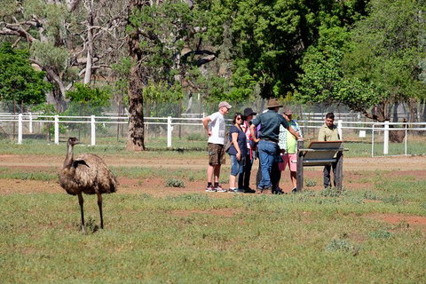 Yura Udnyu - Our Culture, Your Culture (Aboriginal Cultural Walk) - Sunshine Coast Tourism 1