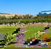 Private Picnic and Wine Tasting Experience in Barossa Valley - Sunshine Coast Tourism