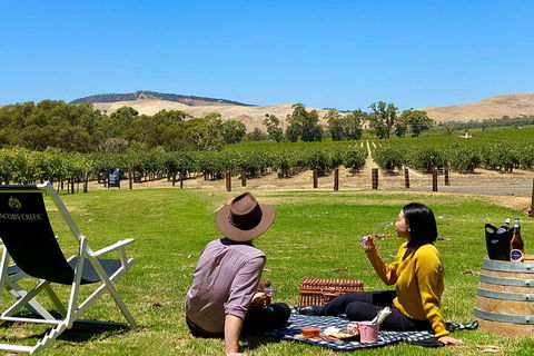 Private Picnic And Wine Tasting Experience In Barossa Valley - Holiday Sunshine Coast 0