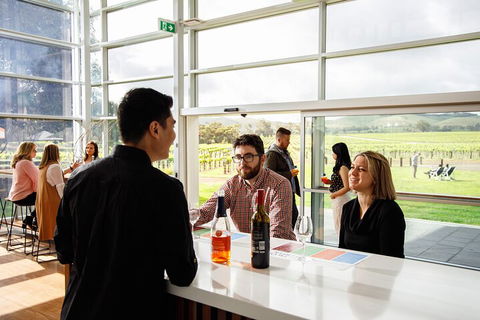 Private Picnic And Wine Tasting Experience In Barossa Valley - Holiday Sunshine Coast 1