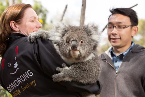 Bonorong Wildlife Park And Richmond Afternoon Tour From Hobart - Holiday Sunshine Coast 0