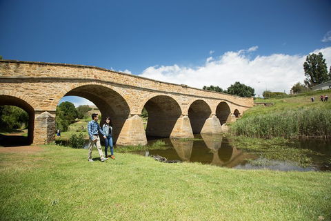 Bonorong Wildlife Park And Richmond Afternoon Tour From Hobart - Holiday Sunshine Coast 2