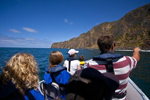 Seal Island Boat Tour From Victor Harbor - Sunshine Coast Tourism 0