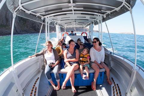 Seal Island Boat Tour From Victor Harbor - Sunshine Coast Tourism 1