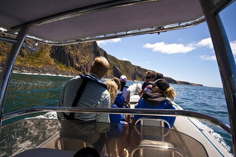 Seal Island Boat Tour From Victor Harbor - Sunshine Coast Tourism 2