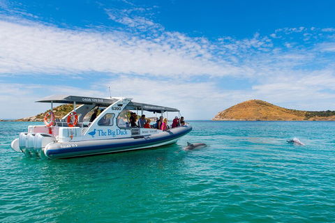 Southern Ocean Adventure From Victor Harbor - Holiday Sunshine Coast 1