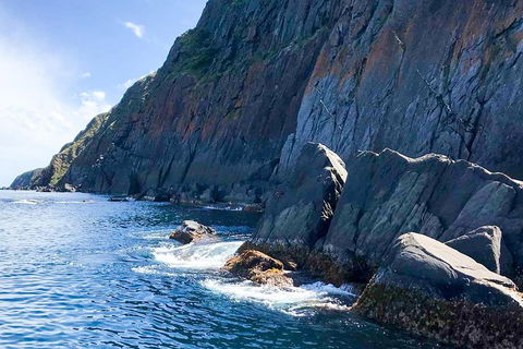 Southern Ocean Adventure From Victor Harbor - Holiday Sunshine Coast 3