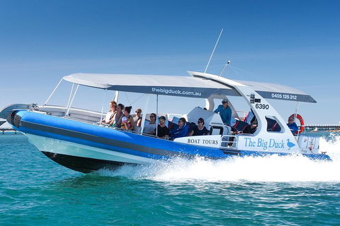 Southern Ocean Adventure From Victor Harbor - Holiday Sunshine Coast 5