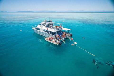 Ocean Freedom Great Barrier Reef Personal Luxury Snorkel & Dive Cruise, Cairns - Sunshine Coast Tourism 0