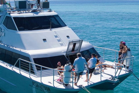 Ocean Freedom Great Barrier Reef Personal Luxury Snorkel & Dive Cruise, Cairns - Sunshine Coast Tourism 1