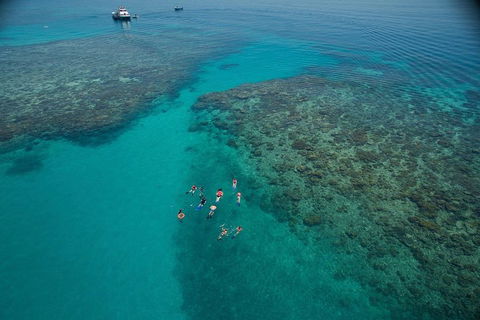 Ocean Freedom Great Barrier Reef Personal Luxury Snorkel & Dive Cruise, Cairns - Sunshine Coast Tourism 3
