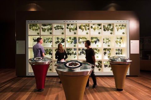 Australian Wine Discovery Tour With Tastings - Holiday Sunshine Coast 4