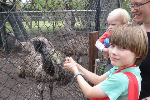 Swan Valley Half-Day Food Tour And Wine Trail From Perth - Sunshine Coast Tourism 5