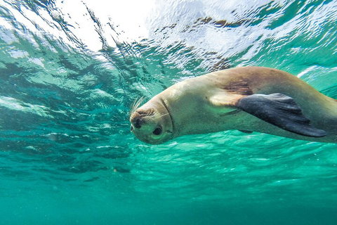 10-Day Adelaide To Perth Adventure Tour - Sunshine Coast Tourism 1