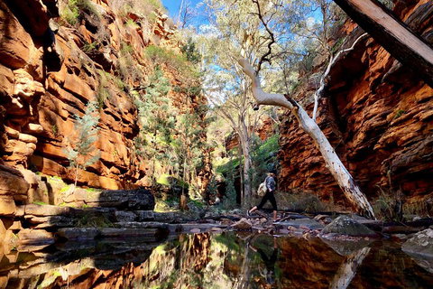 10-Day Adelaide To Perth Adventure Tour - Sunshine Coast Tourism 5
