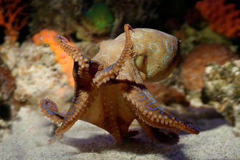 General Admission Entry At AQWA - Holiday Sunshine Coast 0