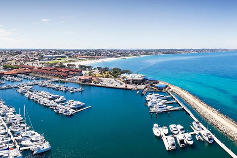 Lunch And General Admission Entry At AQWA - Sunshine Coast Tourism 3