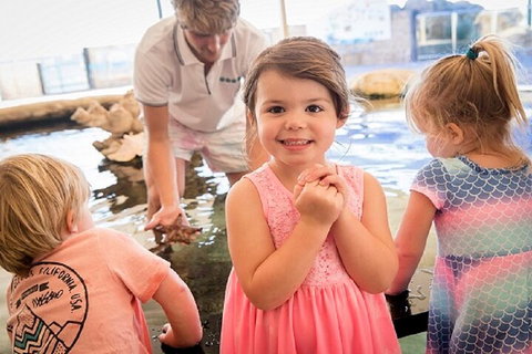 Lunch And General Admission Entry At AQWA - Sunshine Coast Tourism 4