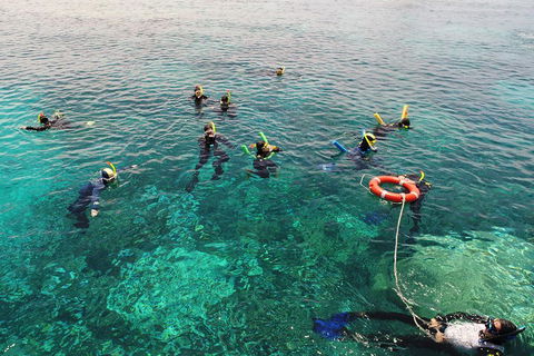 Seastar Luxury Outer Great Barrier Reef Island And Reef Tour From Cairns - Sunshine Coast Tourism 2