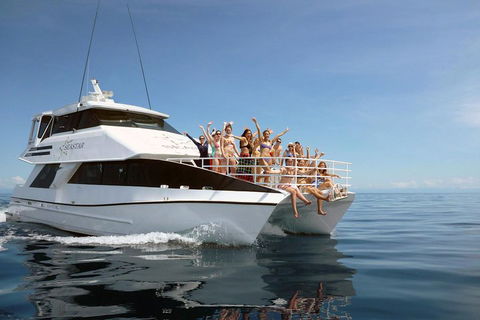 Seastar Luxury Outer Great Barrier Reef Island And Reef Tour From Cairns - Sunshine Coast Tourism 4