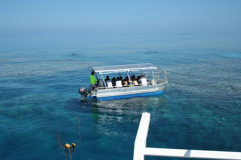 Seastar Luxury Outer Great Barrier Reef Island And Reef Tour From Cairns - Sunshine Coast Tourism 5