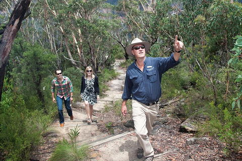 Small-Group Blue Mountains Tour With Bush Walks And Featherdale Wildlife Park - Sunshine Coast Tourism 0