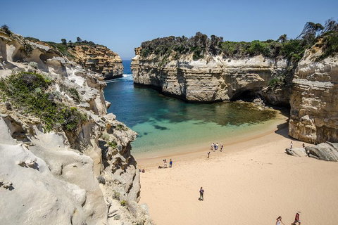 Great Ocean Road Reverse Itinerary With 12 Apostles From Melbourne - Sunshine Coast Tourism 5