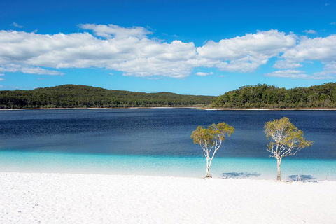 All-Inclusive Fraser Island Day Tour - Holiday Sunshine Coast 3