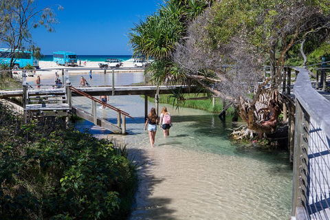 All-Inclusive Fraser Island Day Tour - Holiday Sunshine Coast 4