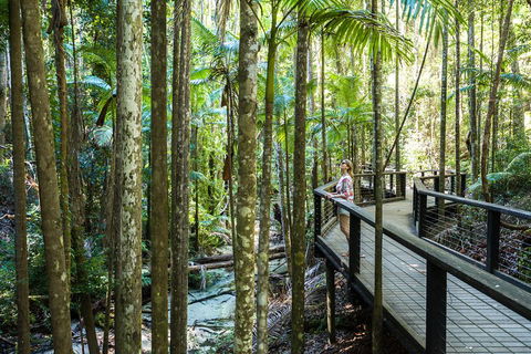 All-Inclusive Fraser Island Day Tour - Holiday Sunshine Coast 5