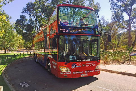 Perth Hop-On Hop-Off Bus Tour - Sunshine Coast Tourism 4