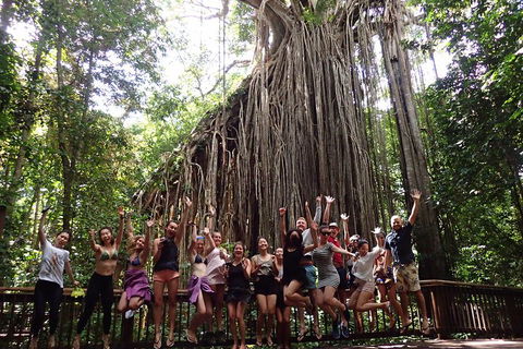 Atherton Tablelands Waterfalls Tour From Cairns - Holiday Sunshine Coast 5