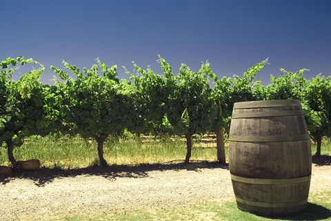 Swan Valley Private Tour - Sunshine Coast Tourism 4